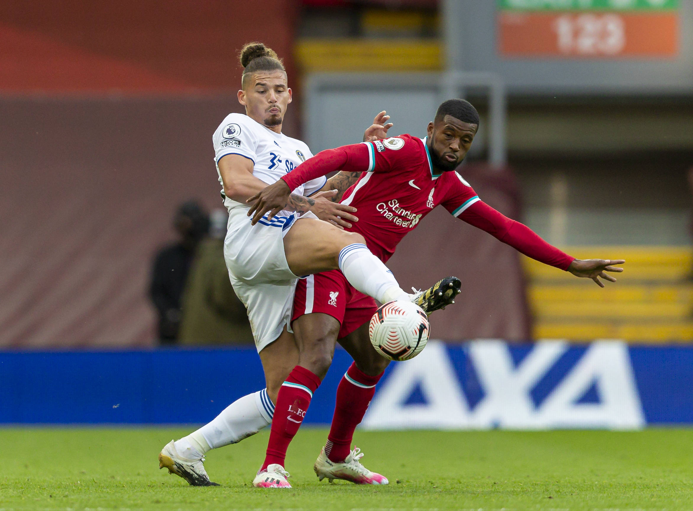 他们显然希 他们显然希