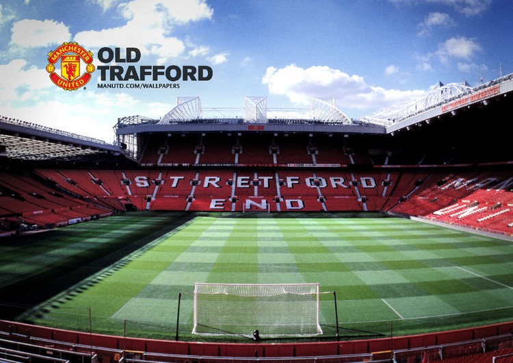 他们已经成 他们已经成